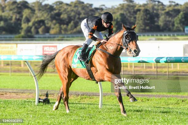 King Of Pharaohs ridden by Jarrod Fry wins the Centre State Scaffolding BM64 Handicap at Bendigo Racecourse on April 20, 2022 in Bendigo, Australia.