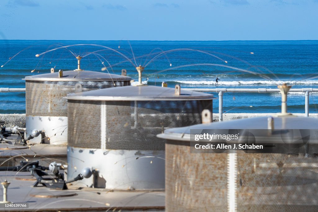 947209_enviro-jennifer-granholm-san-onofre_AJS