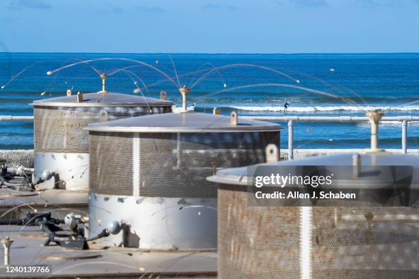 San Onofre, CA A view of the dry spent fuel storage facility in the foreground as surfers ride the waves at San Onofre State Beach and U.S. Energy...