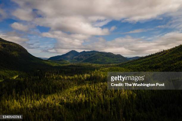 The Tongass National Forest on Prince of Wales Island, Alaska, Friday, July 2, 2021.