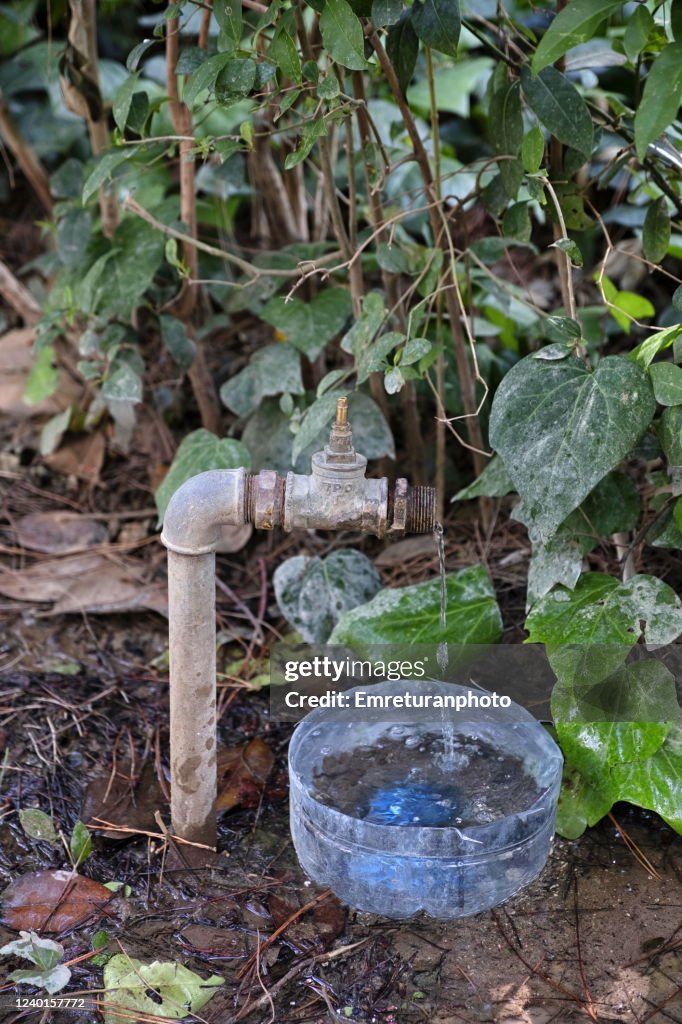 Tap water dropping to a plastic container.