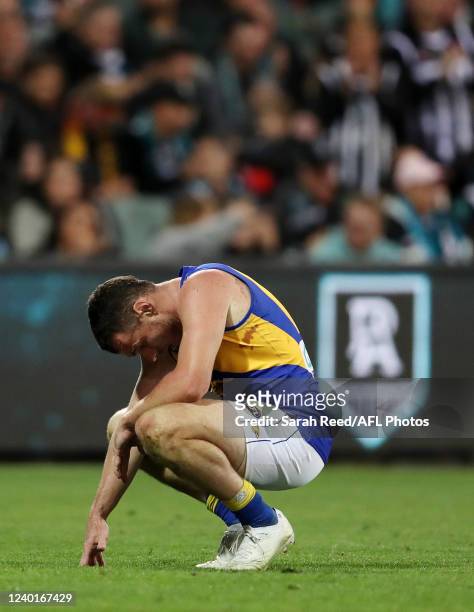 Luke Shuey of the Eagles after another Port Goal goes through during the 2022 AFL Round 06 match between the Port Adelaide Power and the West Coast...