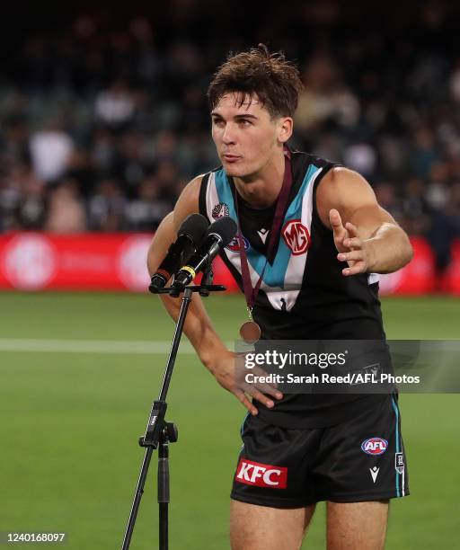 Peter Rozee 17 Peter Badcoe Stock Photos, High-Res Pictures, and Images - Getty Images