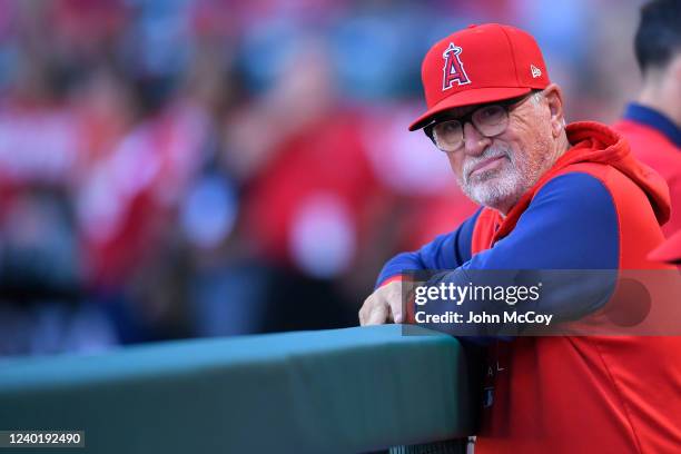 Los Angeles Angels manager Joe Maddon looks on before a game against the Baltimore Orioles at Angel Stadium of Anaheim on April 23, 2022 in Anaheim,...