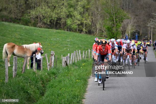 The pack rides during the Liege-Bastogne-Liege one day cycling race 5 km from Liege to Liege, on April 24, 2022. - Belgium OUT / Belgium OUT