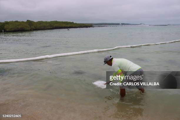 Volunteer spreads absorbent clothes to help clean the water near the area where a boat sank on the eve, at Los Alemanes beach in Punta Estrada,...