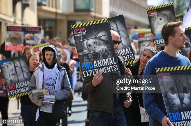 Animal Lab Protest 2,742 Animal Testing Stock Photos, High-Res Pictures, and Images ...