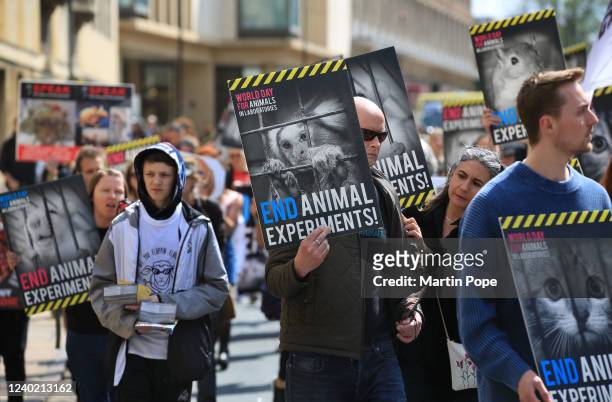 13,288 Animal Rights Protest Photos and Premium High Res Pictures - Getty  Images