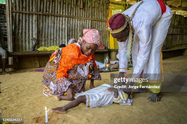 Shaman or Nganga performing the rites of a bwiti initiation ceremony in which a genet skin is rubbed over the initiate's body. Bwiti is a spiritual...