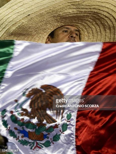 Fan of Mexico's Chivas de Guadalajara waves a national flag before the start of the Libertadores Cup final against Brazil's Internacional on August...