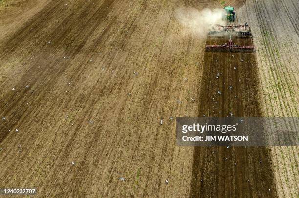 Seagulls flock over the recently tilled ground as a farmer prepares his field in Ruthsburg, Maryland, on April 25, 2022.