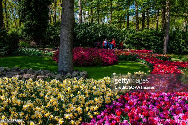 Couple seen sitting on a bench in the gardens. Keukenhof is also known as the Garden of Europe one of the world's largest flower gardens and is...