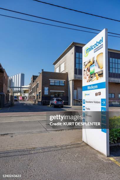 Illustration picture shows the Milcobel cheese factory in Moorslede, where the listeria bacterium was found in a brine bath where cheeses are...