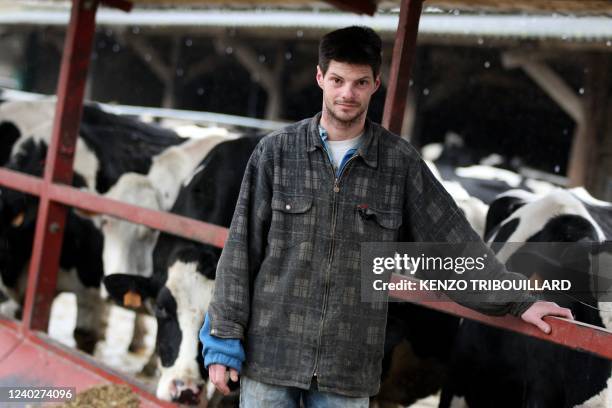 Nicolas Mahieu pose devant son troupeau de vaches le 25 février 2010 dans sa ferme au Mesnil-Aubert. A 29 ans, cet agriculteur installé depuis trois...