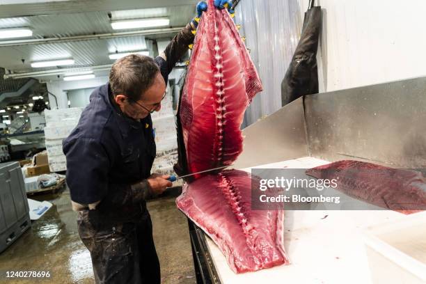 Worker prepares a fresh tuna for sale at the Fulton Fish Market in the Bronx borough of New York, U.S., on Friday, April 22, 2022. Fish and seafood...