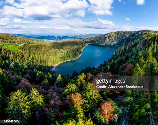 panoramic landscape. view from the drone of the white lake in the vosges, alsace. beautiful cliffs, gorgeous nature of the national park. france. - lorraine stock pictures, royalty-free photos & images