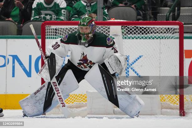 Harri Sateri of the Arizona Coyotes tends goal against the Dallas Stars at the American Airlines Center on April 27, 2022 in Dallas, Texas.