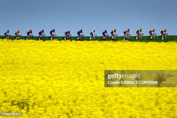 The pack rides past a rapeseed field during the third stage, from Echallens to Echallens, of the Tour de Romandie UCI World Tour 2022 cycling race...