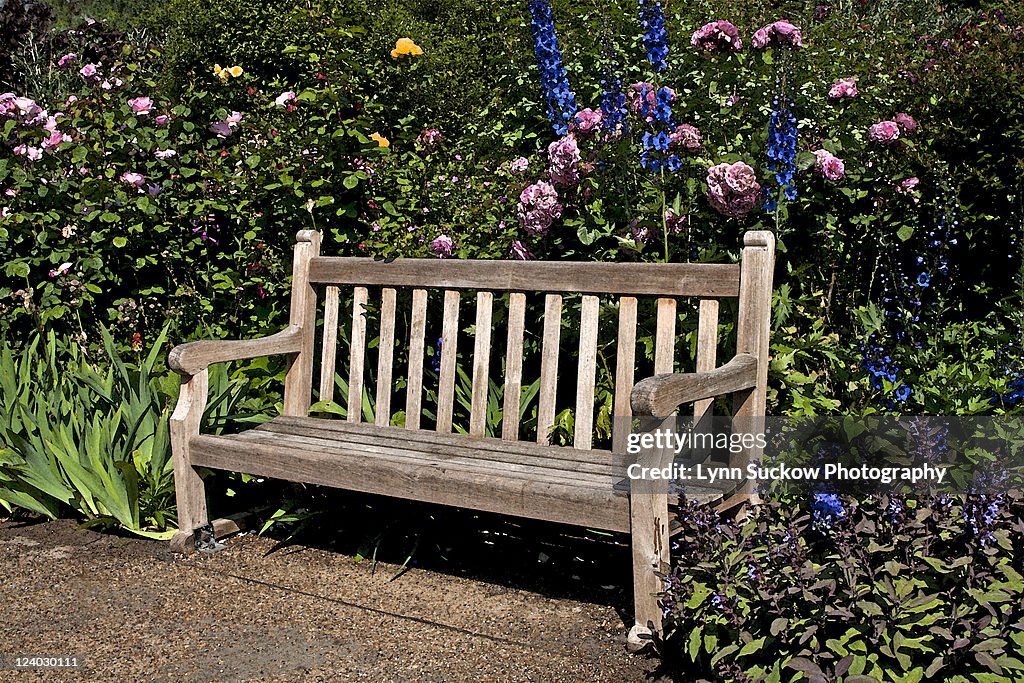 Lonely bench in park