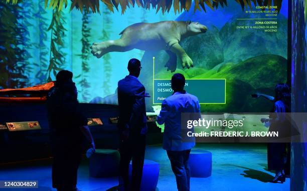 People attend a press preview of "L.A Underwater - The Prehistoric Sea Beneath Us" as an image of a Desmostylia, an extinct order of aquatic mammals...