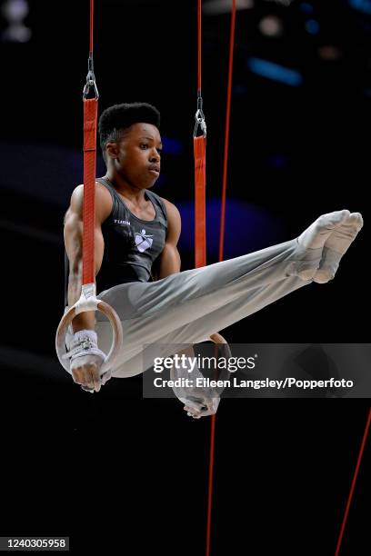 3,666 Artistic Gymnastics Rings Finals Stock Photos, High-Res Pictures, and  Images - Getty Images
