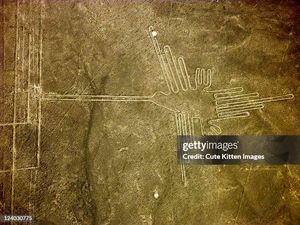 humming bird, nazca lines - nazca lines stock-fotos und bilder