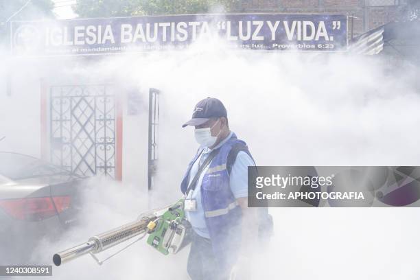 Municipal worker sprays chemicals against the Aedes Aegypti and Aedes Albopictus mosquitoes, responsible for the transmission of Dengue, Zika and...