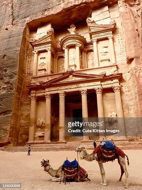 petra is historical and archaeological city - jordan stock pictures, royalty-free photos & images