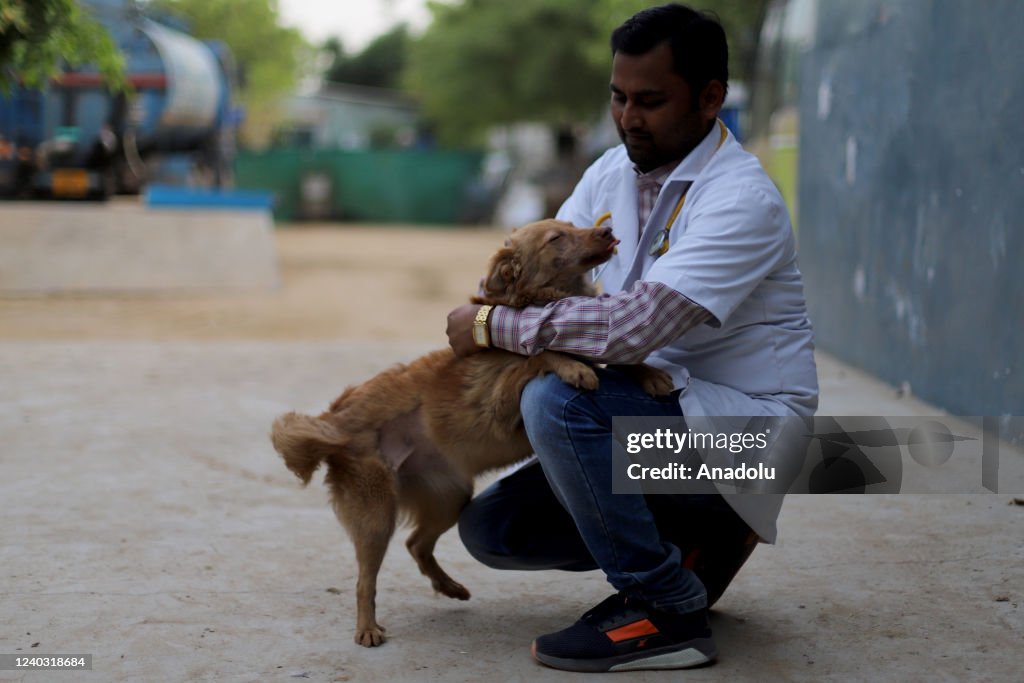 A veterinary doctor plays with dog at the animal welfare center... News  Photo - Getty Images