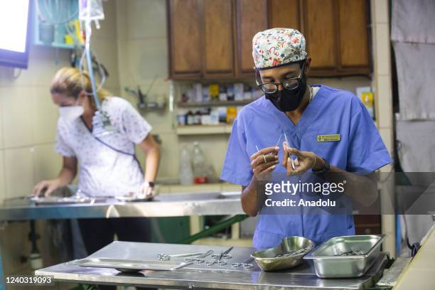 Veterinary doctor prepares the instruments, in a private veterinary clinic, on World Veterinary Day, in Havana, Cuba, on April 23, 2022. World...
