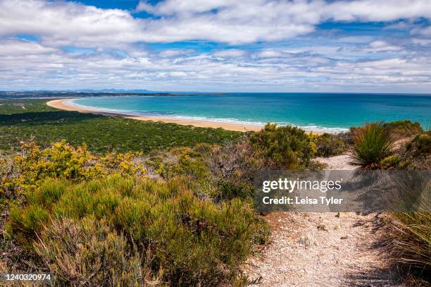 Walking trail in the Narawntapu National Park, a wilderness area outside of Port Sorrel on the north west coast of Tasmania. Narawntapu is the...