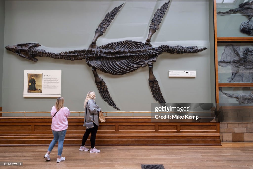Natural History Museum In London