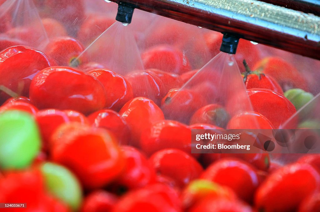 Inside Nectar Balkan Fruit And Vegetable Processors