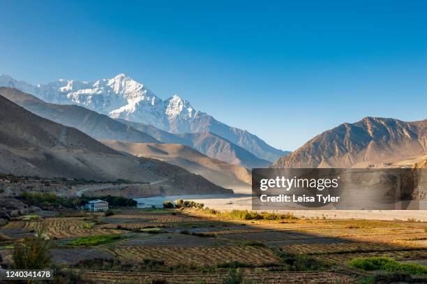 Farmland and a dry Kali Gantaki river bed with the mastiff of Nilgiri Himal as seen from Kagbeni, a traditional village in the Upper Mustang region...