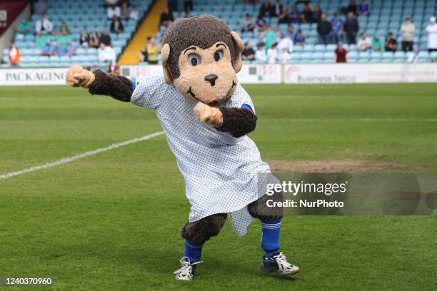 54 Hartlepool Monkey Stock Photos, High-Res Pictures, and Images ...