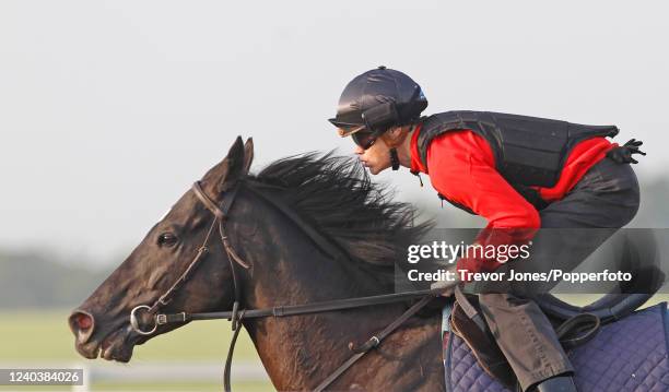 Australian jockey Craig Williams riding Dandino on the gallops at Newmarket.