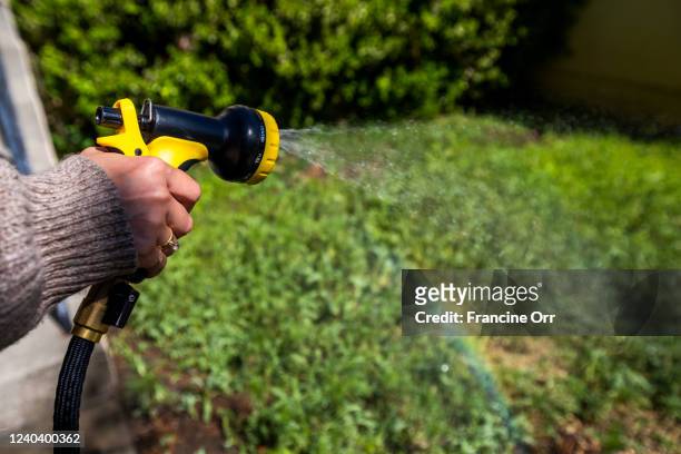 Alicia De Mello waters her front yard in in South Pasadena at on Saturday, April 30, 2022. She said she recently plants native drought resestant...