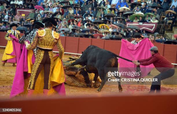 Monosabio' pulls the bull's tail after knocking down the picador's horse during the Feria de Abril bullfighting festival at La Maestranza bullring in...