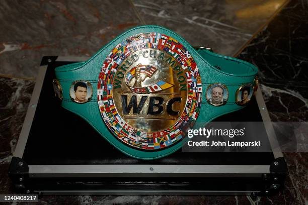 Title belt is seen as professional boxer and WBC lightweight title holder, Devin Haney visits The Empire State Building on May 02, 2022 in New York...
