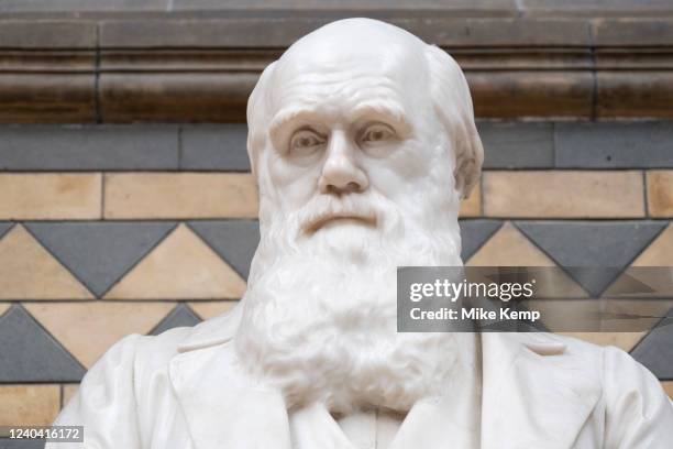 Darwin Statue 74 Charles Darwin Statue Stock Photos, High-Res Pictures, and Images ...