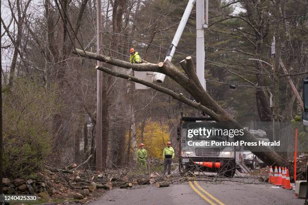 An arborist with Ironwood Tree Services cuts away branches of a large tree that came down across Shore Road in York on top of power lines on Tuesday,...