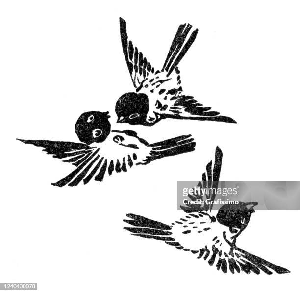 illustrazioni stock, clip art, cartoni animati e icone di tendenza di tre passeri che volano giocando in aria - tre animali