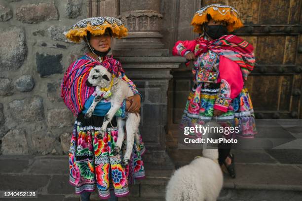 Traditionally dressed Quechua girls with young llama and lamb, seat outside a church in Cusco center waiting for tourists to pose for photos. On...