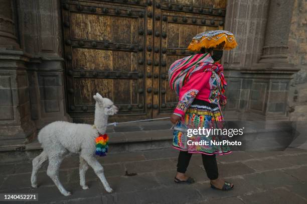 Traditionally dressed Quechua girl walks with a young lama in the center of Cusco, waiting for tourists to pose for photos. On Sunday, 17 April in...