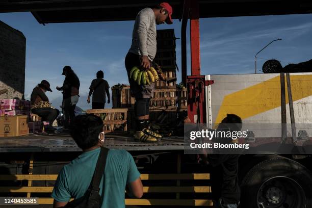 Fruit trader holds a bunch of bananas on a truck in downtown Cebu City, the Philippines, on Wednesday, May 4, 2022. Philippines inflation rate rose...