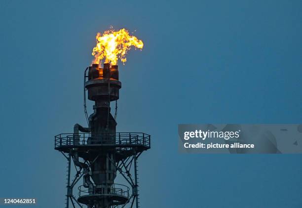 May 2022, Brandenburg, Schwedt: Surplus gas is burned on the industrial site of PCK-Raffinerie GmbH. Crude oil from Russia arrives at the oil...