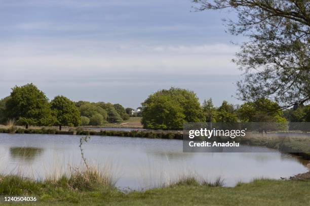 General view during a sunny day at Richmond Park, in south west London, United Kingdom on May 06, 2022.