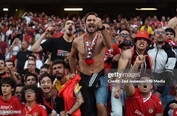 Fans of Benfica reacts during the Liga Portugal Bwin match between SL Benfica and FC Porto at Estadio da Luz on May 7, 2022 in Lisbon, Portugal.