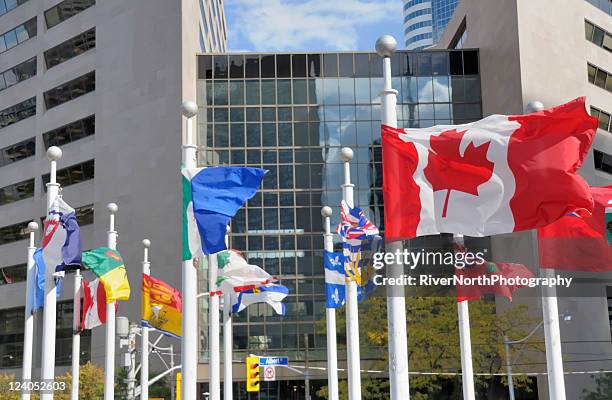 provincial flags, toronto - flag canada stockfoto's en -beelden