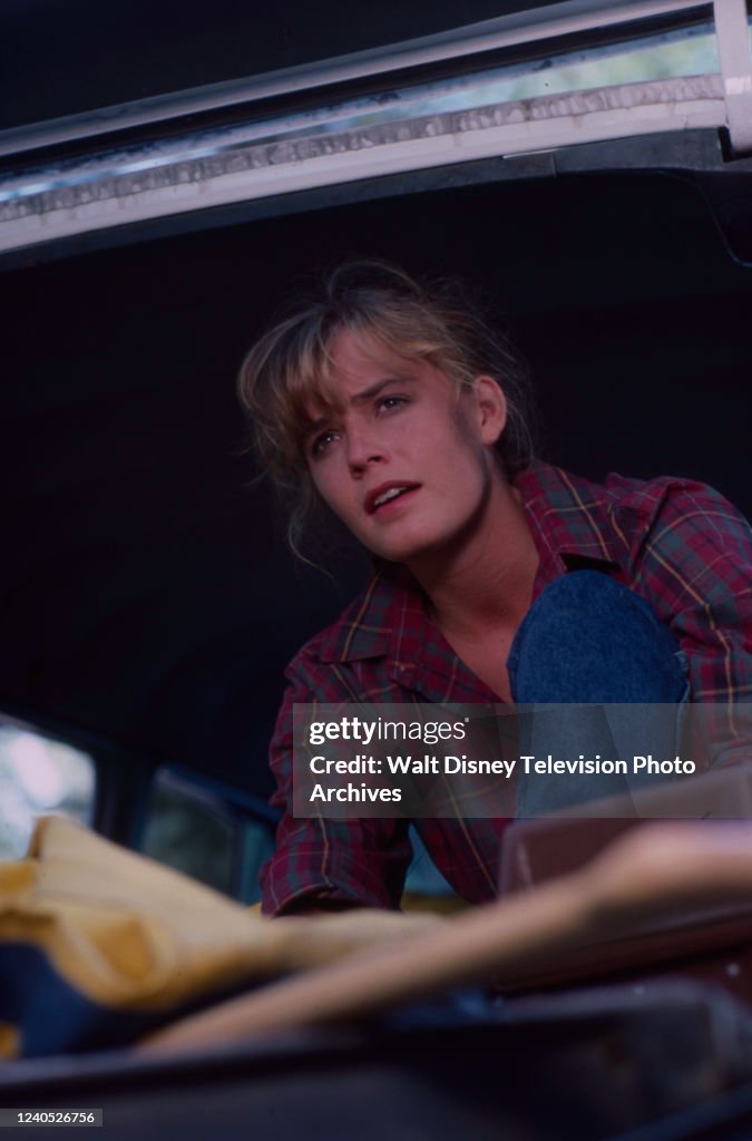 Elisabeth Shue appearing in the ABC tv series 'Call to Glory'. News